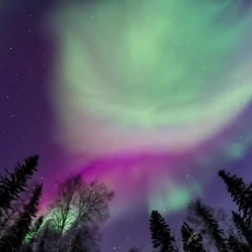 Aurora Borealis February 18, 2014 Fairbanks, Alaska