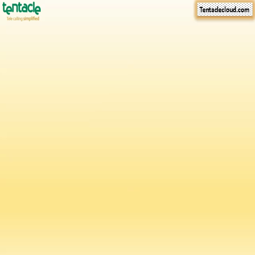 lead management system