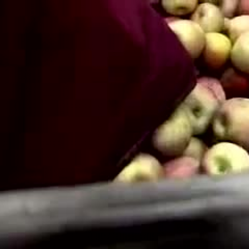 Farm to Table-Fruits