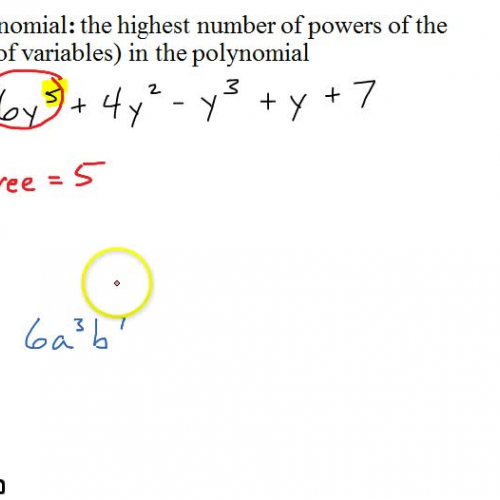 Algebra I @ Harrison: Polynomial Lingo