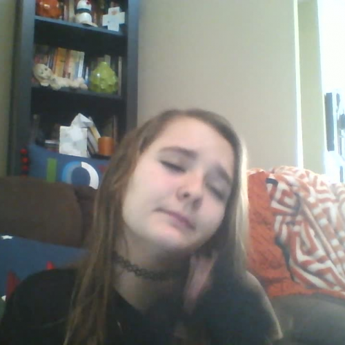 03.02 Describe the Family Visual Presentation 