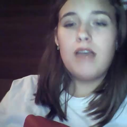 3.02 Describe the Family Visual Presentatiom