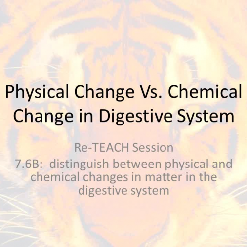 7.6B Physical Change Vs. Chemical Change in Digestive System RETEACH