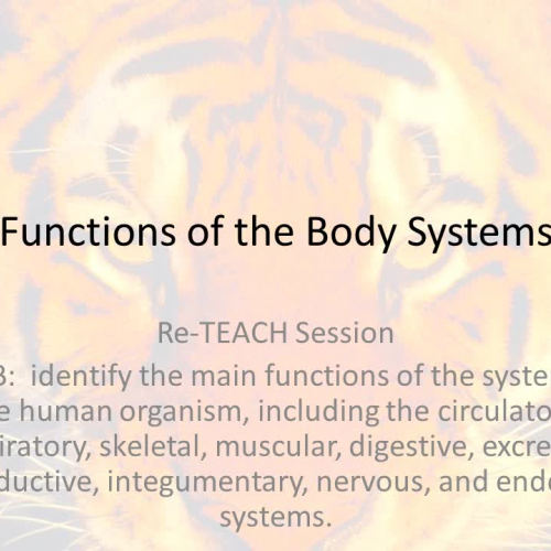7.12B Functions of the Body Systems