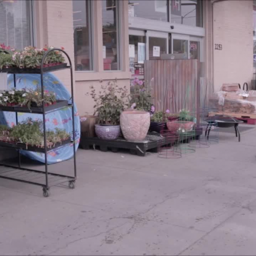 Dumpsta Diva: Take the plunge! - Green Ninja Show