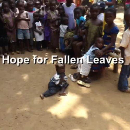 Hope for Fallen Leaves