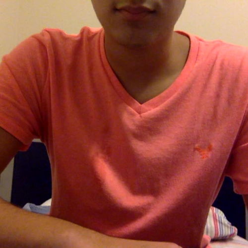 Describing the family