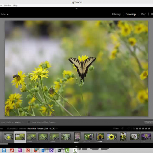 Using Photoshop to Hand Color