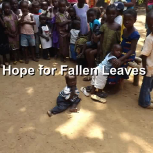 Hope for Fallen Leaves