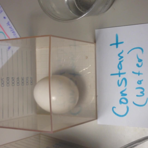 AckermanEggOsmosis Constant