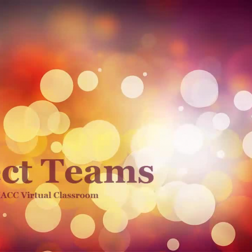 Project Teams