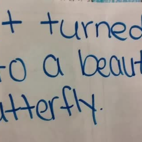 The Hungry Caterpillar 5