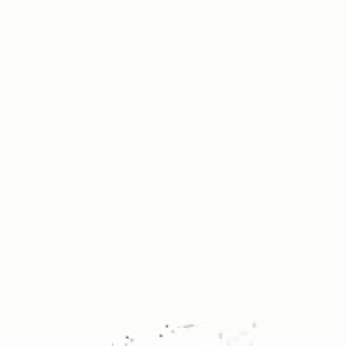 LBP Passenger Pigeon Flock Overhead