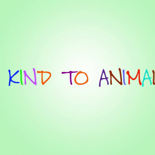 Kindness with Animals