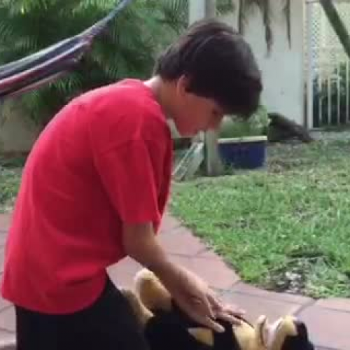 Steps for Hands-On CPR