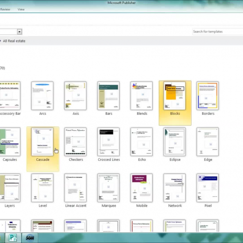 Publisher 2010 "Choose Publication Options"