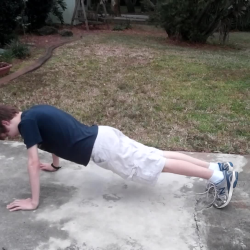 Push Ups Exercise
