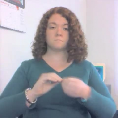 School and occupations test