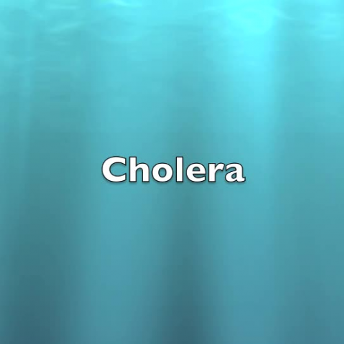 Cholera