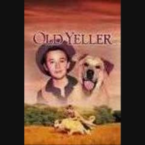 Old Yeller - Eli H.