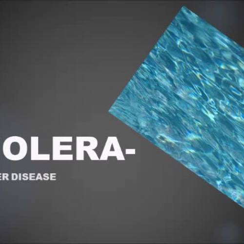 Cholera- JBoyd-Jan2015-HLT555