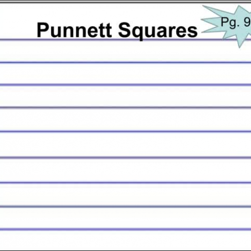 Punnett Squares and Ratios