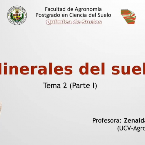 Minerales del suelo (segmento 1)