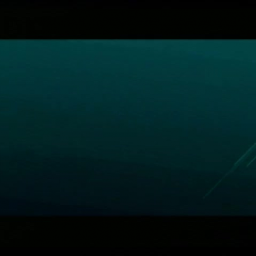 Shark Watch February 2nd