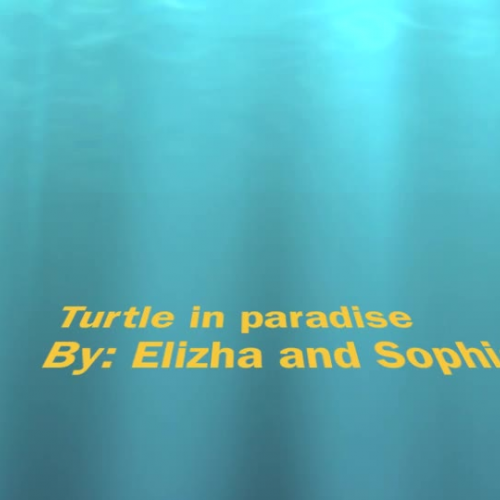 Book Trailer: Turtle in Paradise