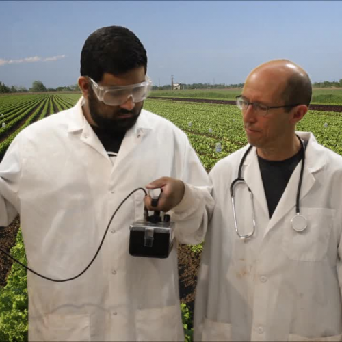 Burrito Gases: The Field of Beans