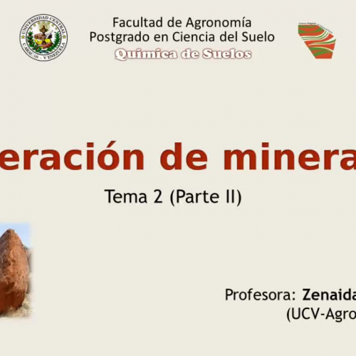 Alteracion de minerales (segmento 1)