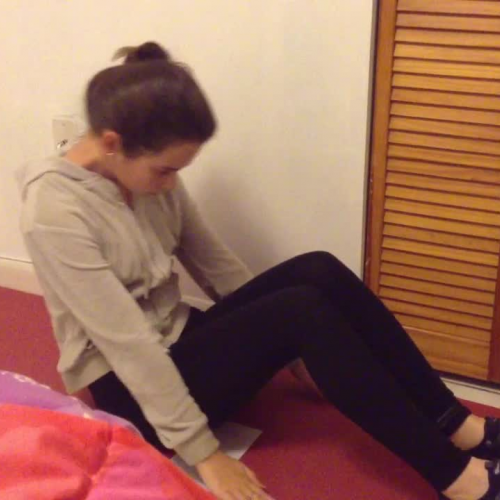 1.3 Fitness Assesment