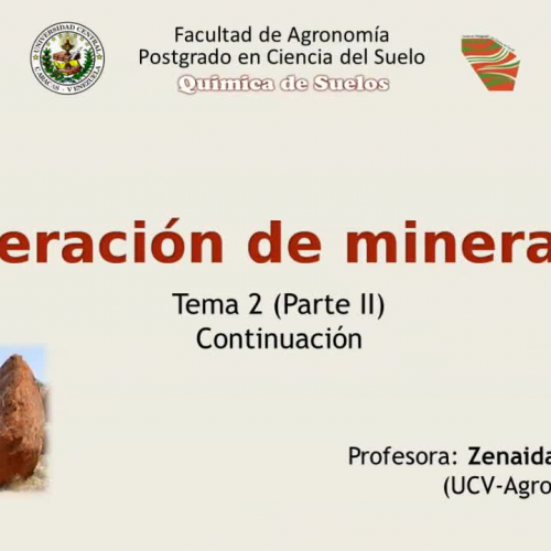 Alteración de minerales (segmento 2)