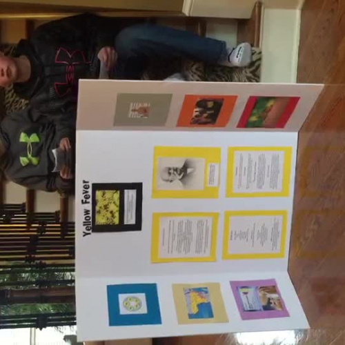 yellow fever-Mars and Kwon