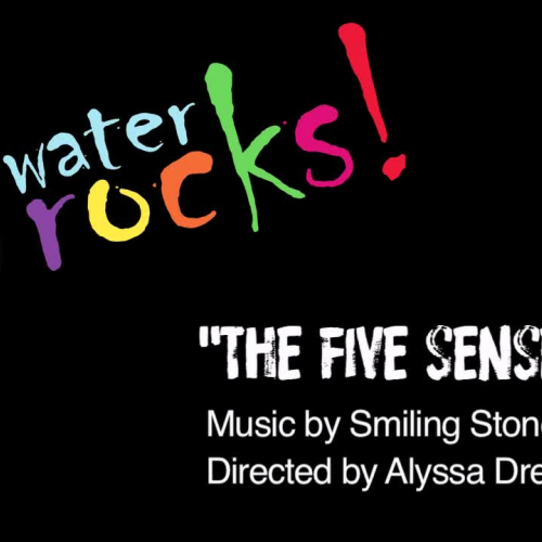 The Five Senses Music Video