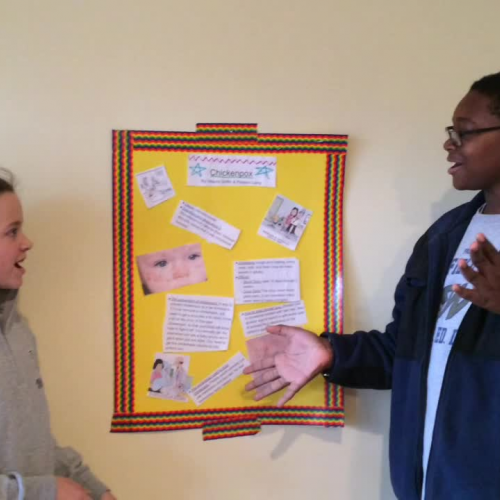 Chicken Pox Project