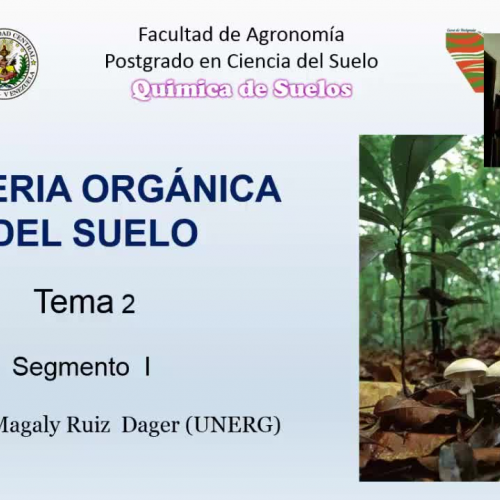 Materia orgánica del suelo. Definicion