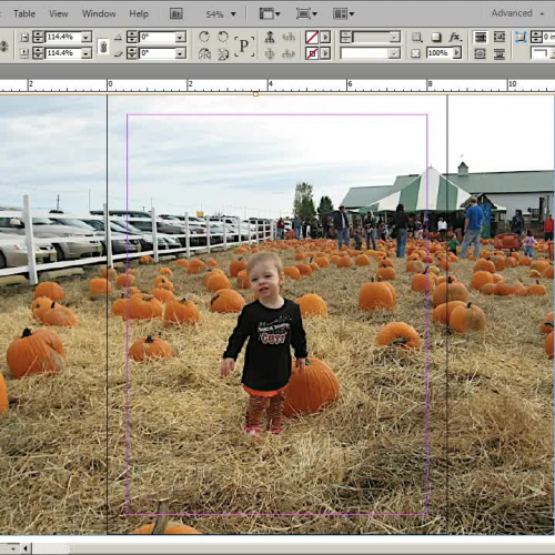 How To Place an Image in InDesign