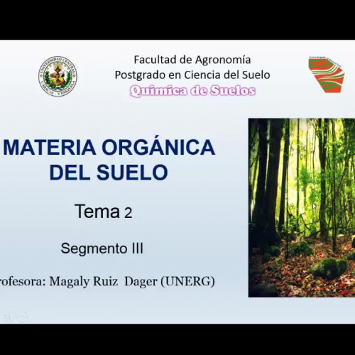 Materia organica del suelo (segmento 3)