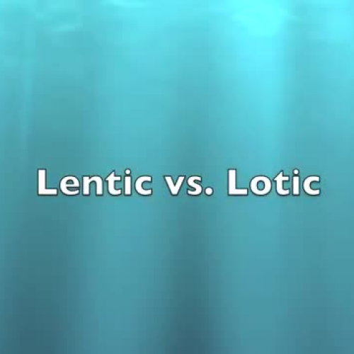 Lotic or Lentic