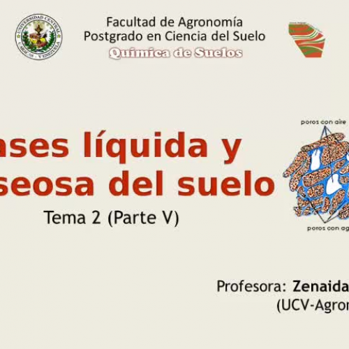 Fases liquida y gaseosa del suelo (segmento 1)