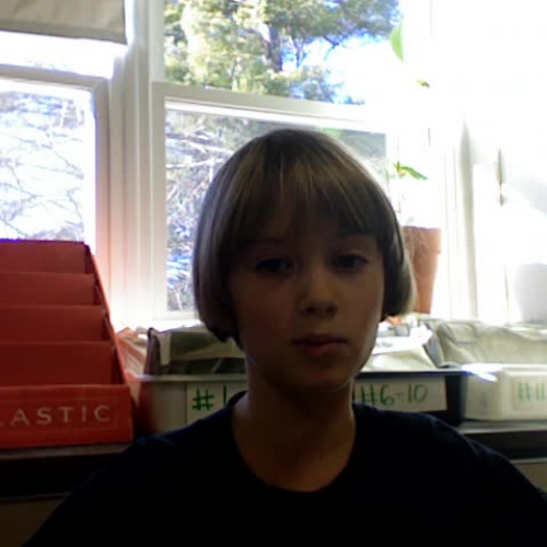 Celeste's Persuasive Speech