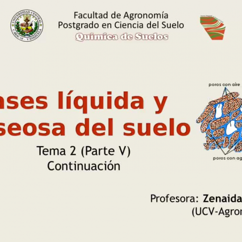 Fases sólida y gaseosa (segmento 2)