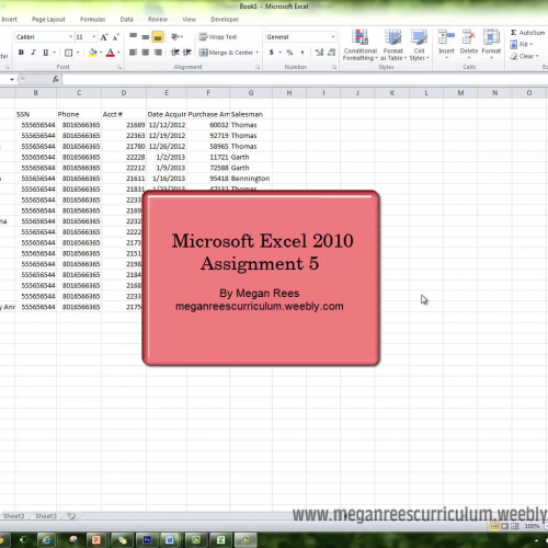 Excel Lesson 5 Tutorial