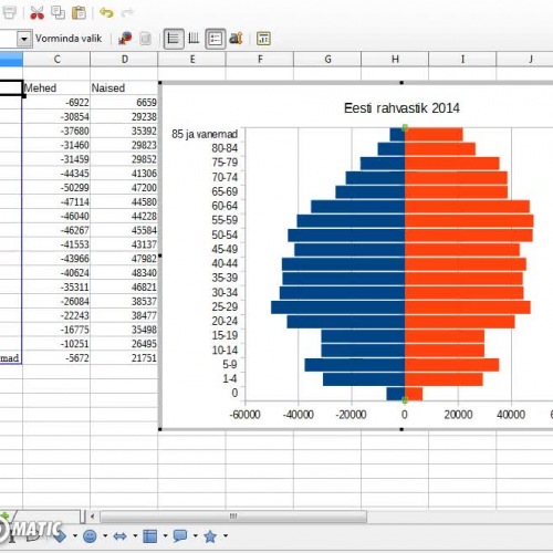 Rahvastikupüramiid LibreOffice Calc
