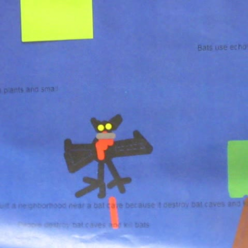 Second grade Bats