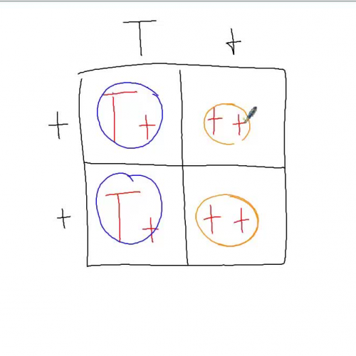 Introduction to Punnett squares 