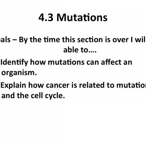 4.3 Mutations
