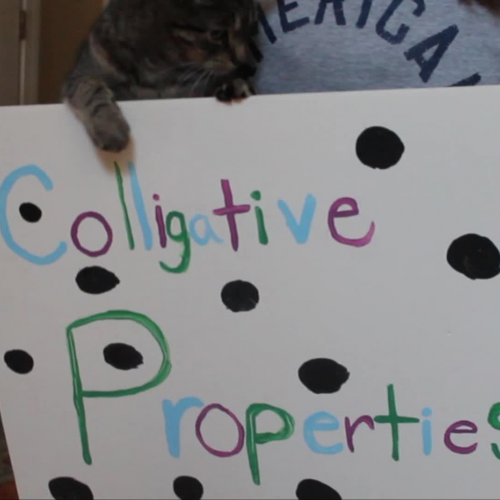 Colligative Properties-Sarah, Emma, Maddie, Megan