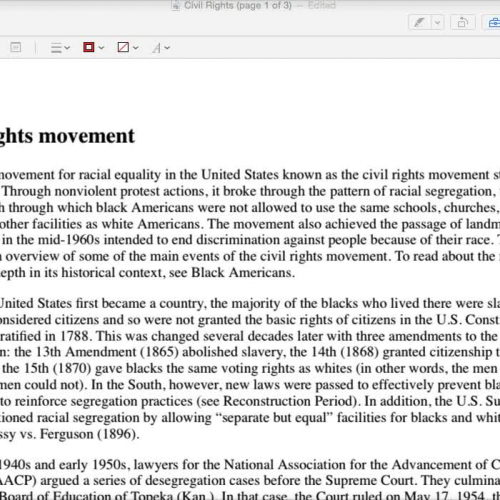 The Civil Rights Movement Article